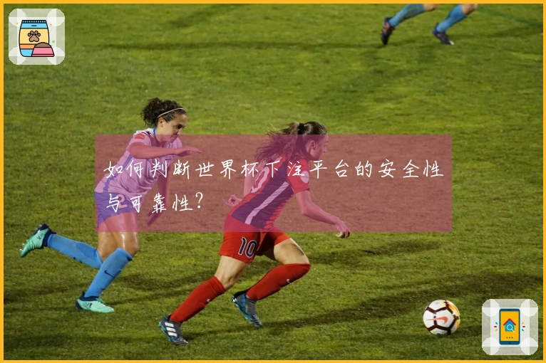 如何判断世界杯下注平台的安全性与可靠性？