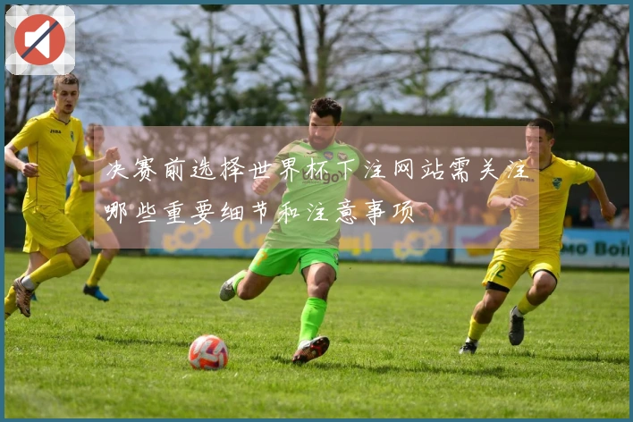 决赛前选择世界杯下注网站需关注哪些重要细节和注意事项