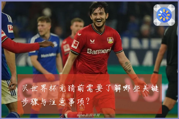 买世界杯竞猜前需要了解哪些关键步骤与注意事项？