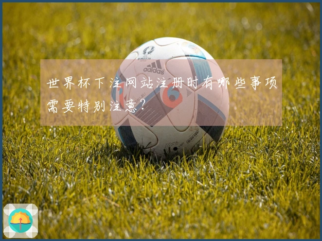 世界杯下注网站注册时有哪些事项需要特别注意？