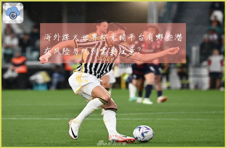 海外烽火世界杯竞猜平台有哪些潜在风险与规则需要注意？