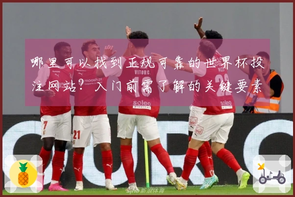 哪里可以找到正规可靠的世界杯投注网站？入门前需了解的关键要素有哪些