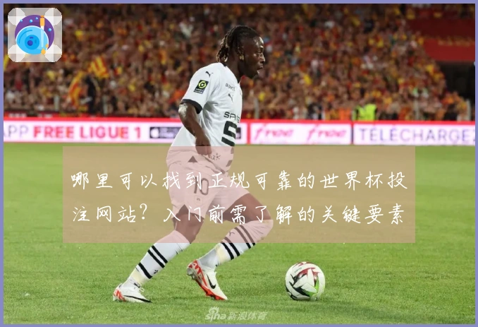 哪里可以找到正规可靠的世界杯投注网站？入门前需了解的关键要素有哪些