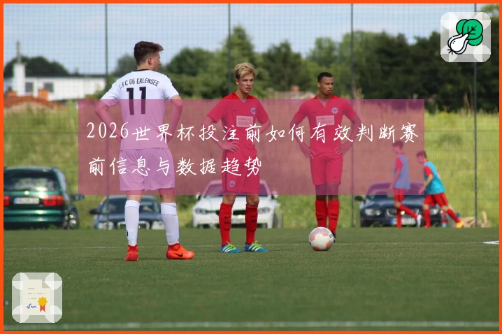 2026世界杯投注前如何有效判断赛前信息与数据趋势
