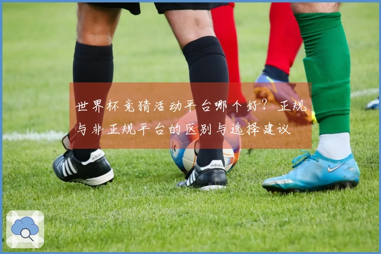 世界杯竞猜活动平台哪个好？正规与非正规平台的区别与选择建议