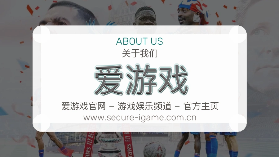 关于 爱游戏